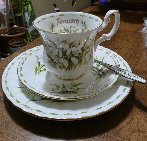 Royal albert january snowdrops - royal,