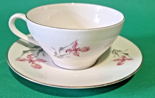Tazza con piatto porcellana